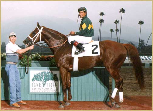 Brilliance in the winners circle at Santa Anita